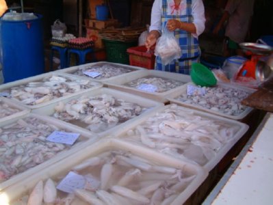 mercado (23)  ALIMENTOS MERCADO
